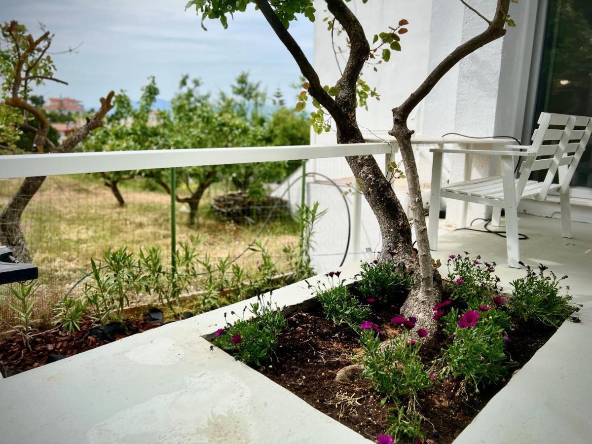 Cozystudio Chalkida Luaran gambar